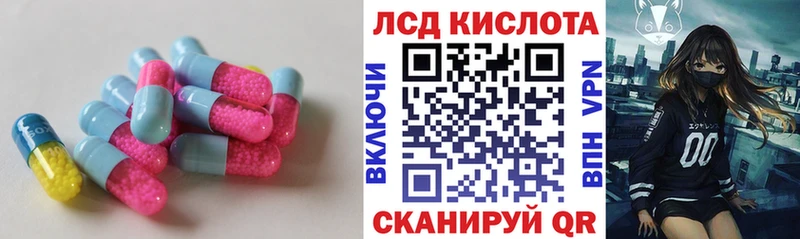 дарнет шоп  Новопавловск  LSD-25 экстази ecstasy 