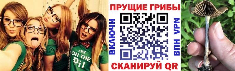 Псилоцибиновые грибы Magic Shrooms  hydra зеркало  Новопавловск 